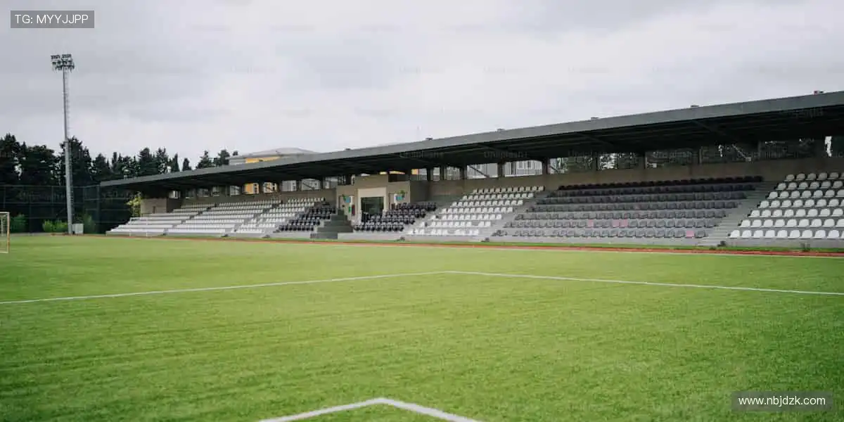 🎯专业装备,点燃你的运动激情!